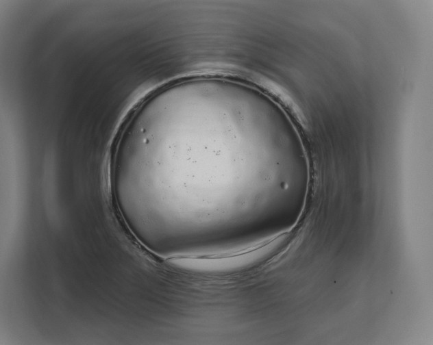X0000112161275200908211427