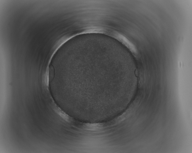 X0000112161276200908211427