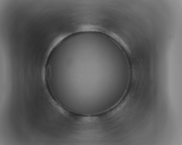 X0000112161277200908211427