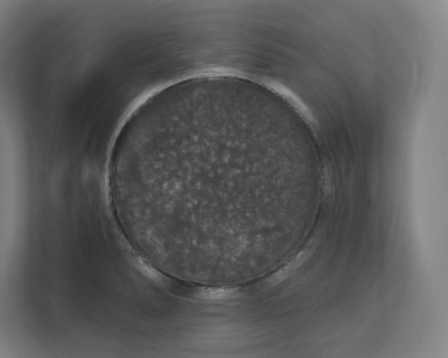X0000112161278200908211427