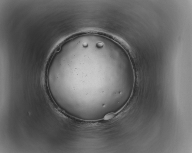 X0000112161279200908211427