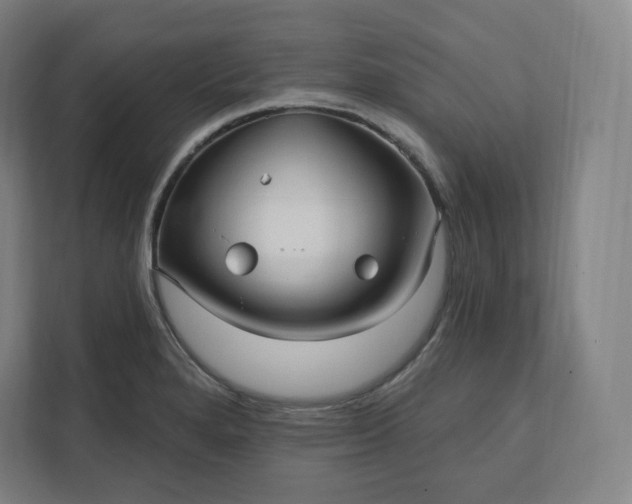 X0000112161280200908211427