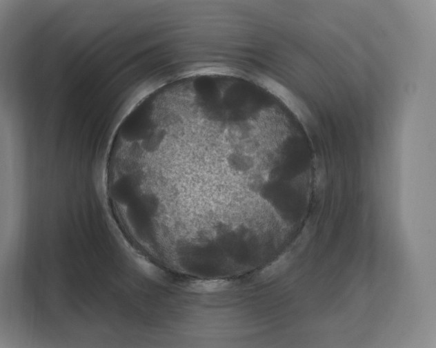 X0000112161282200908211427