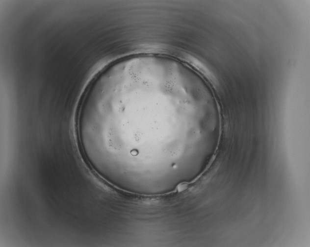 X0000112161283200908211427