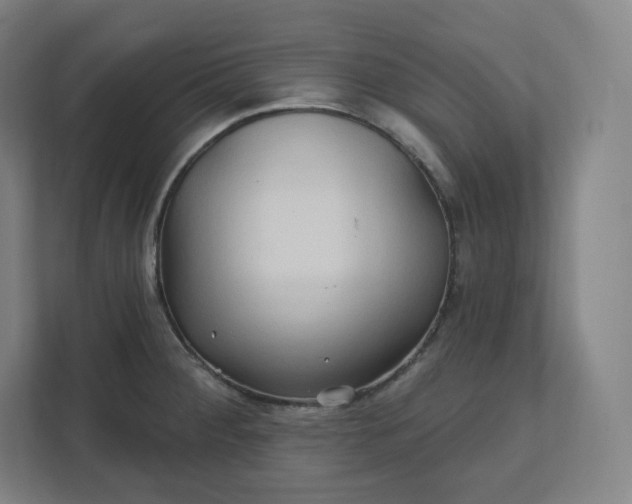X0000112161284200908211427