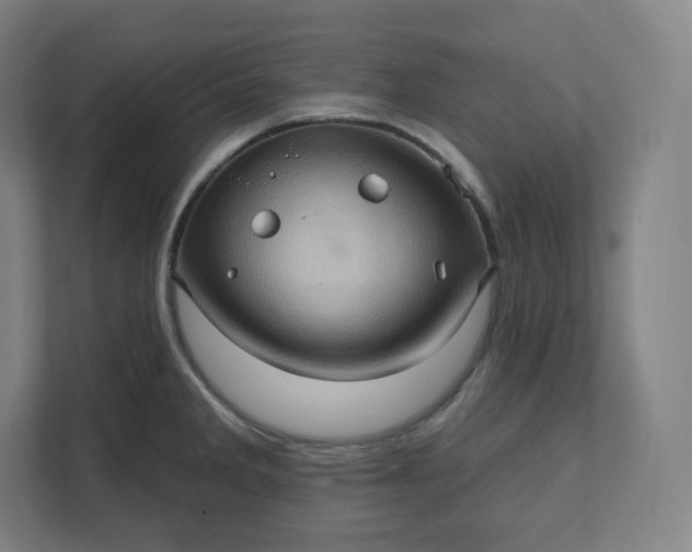 X0000112161285200908211427