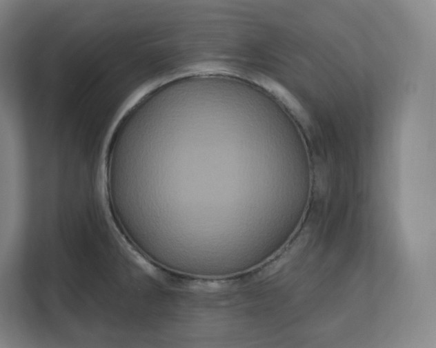 X0000112161286200908211427