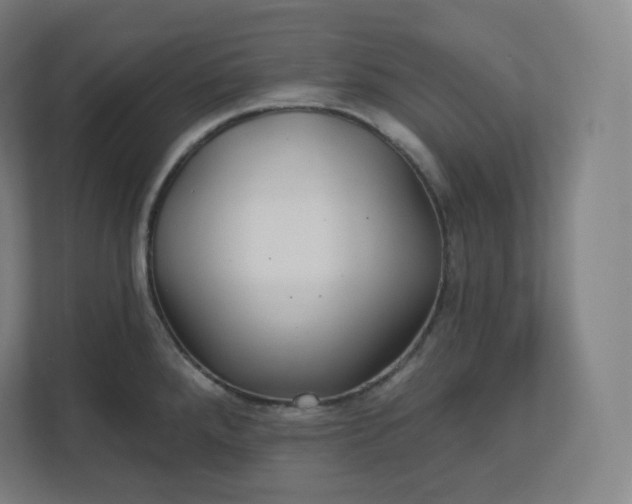X0000112161288200908211427