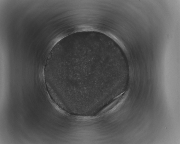 X0000112161289200908211427