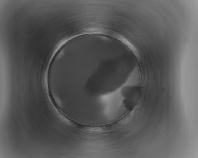 X0000112161291200908211427