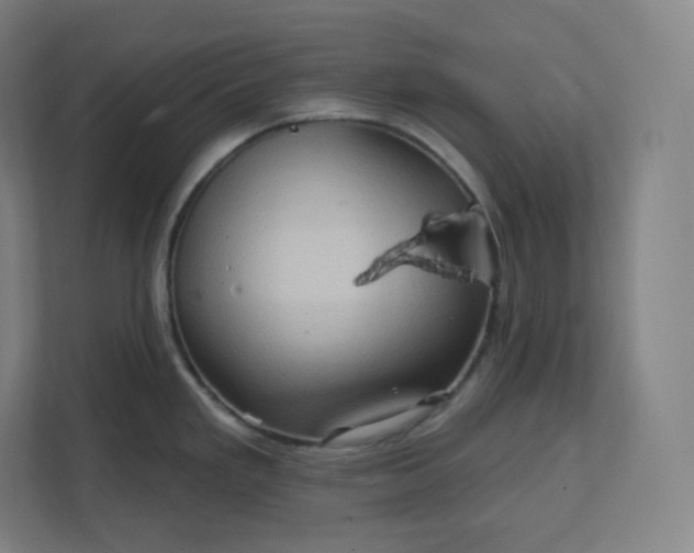 X0000112161293200908211427