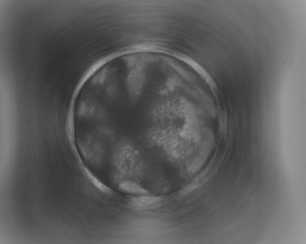 X0000112161294200908211427