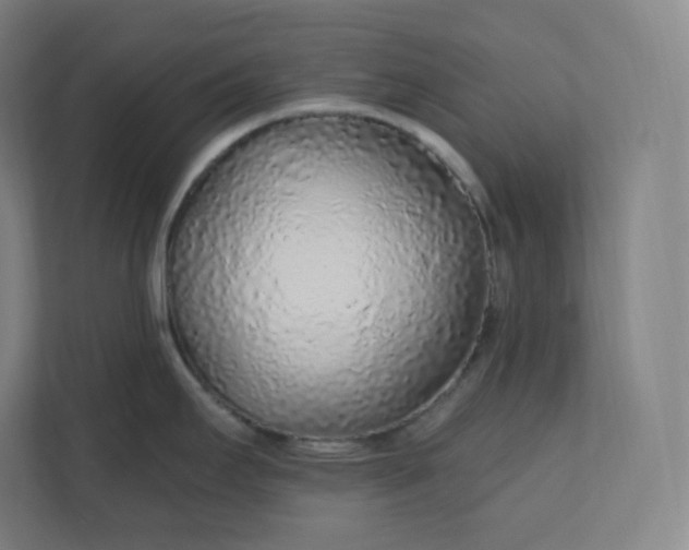 X0000112161295200908211427