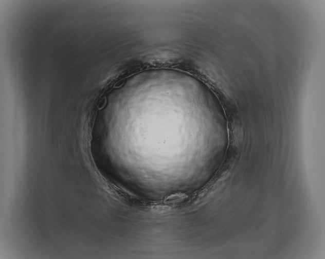 X0000112161297200908211426