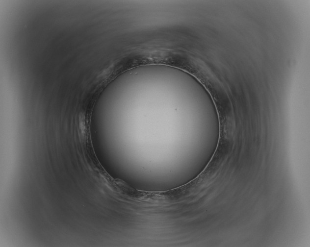 X0000112161298200908211426
