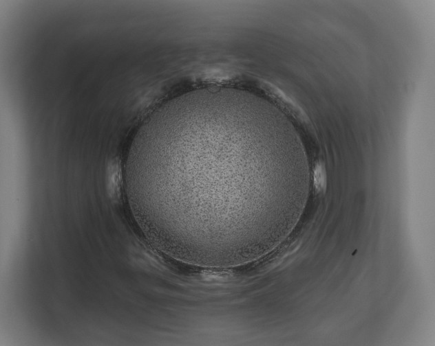 X0000112161299200908211426