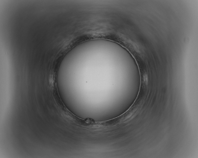 X0000112161300200908211426