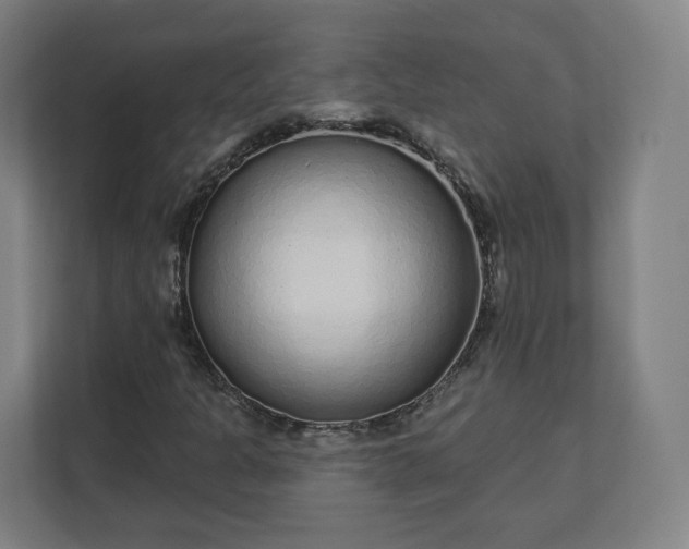 X0000112161301200908211426