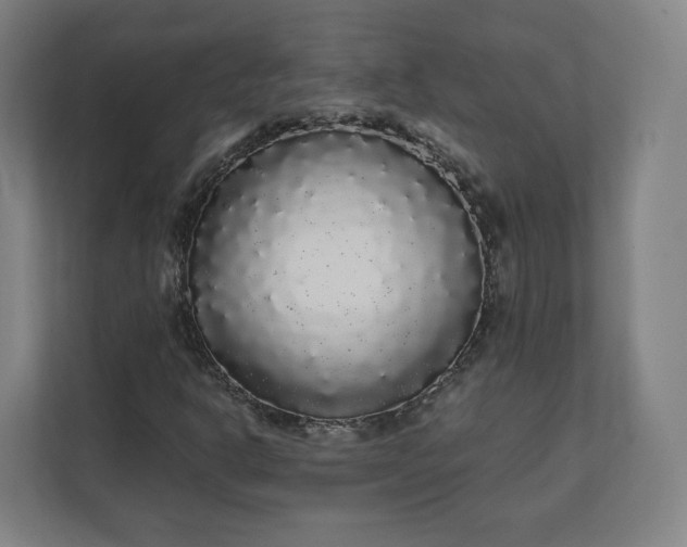 X0000112161302200908211426