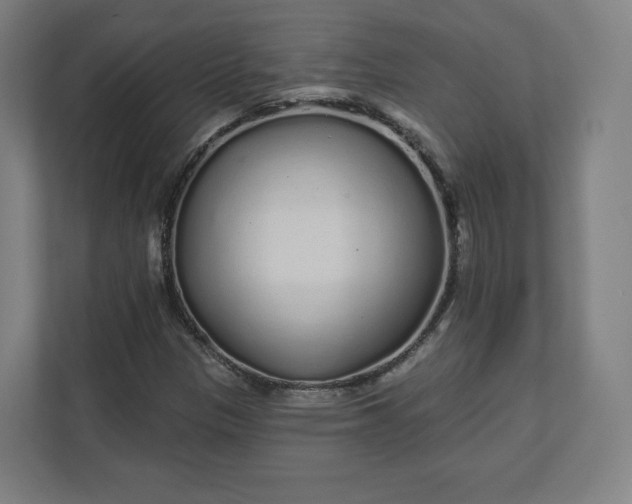 X0000112161305200908211426