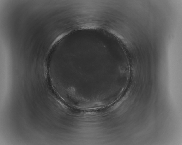 X0000112161306200908211426