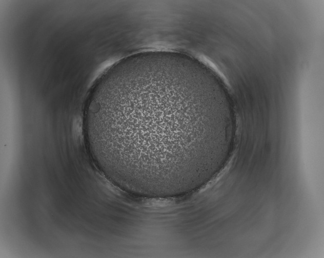 X0000112161307200908211426