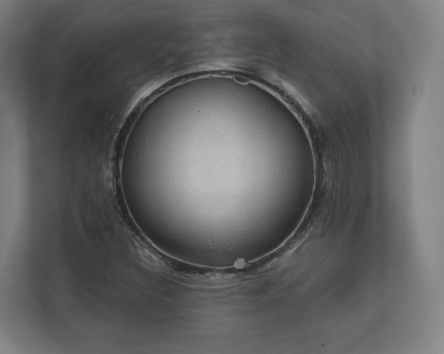 X0000112161308200908211426