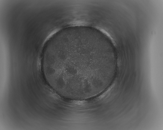 X0000112161309200908211426