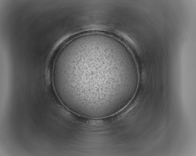 X0000112161310200908211426