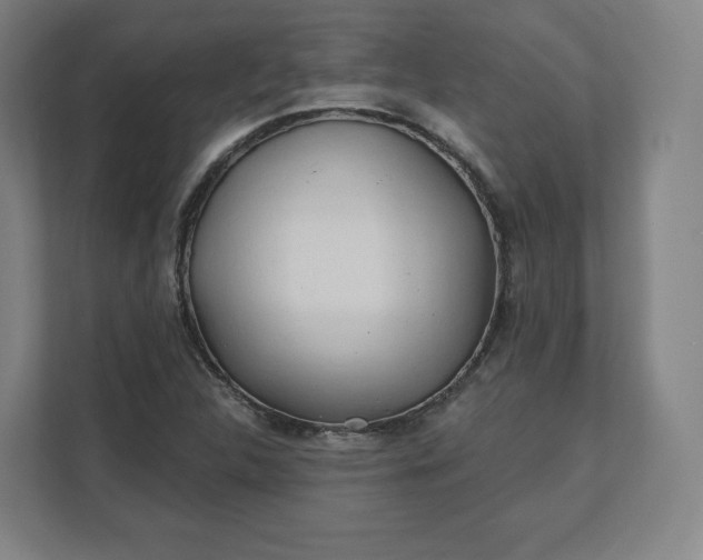 X0000112161312200908211426