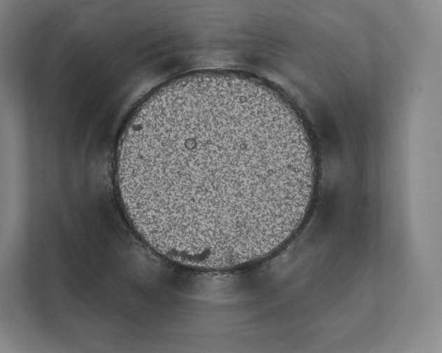 X0000112161314200908211426