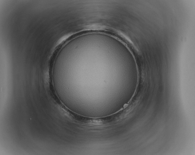 X0000112161315200908211426