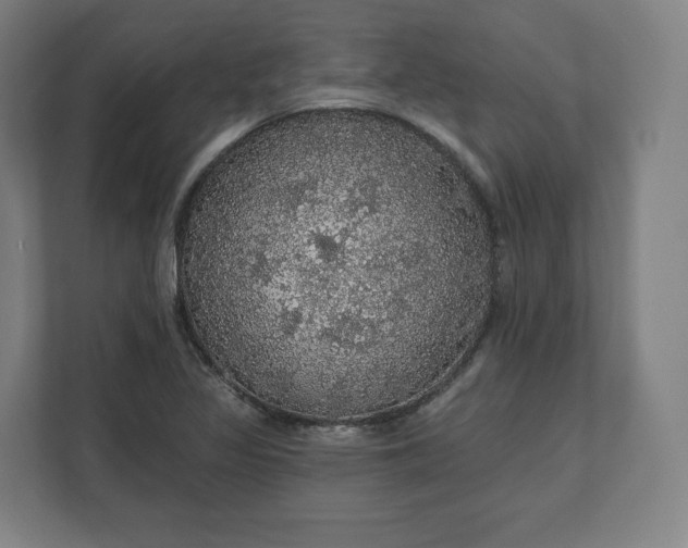 X0000112161317200908211426
