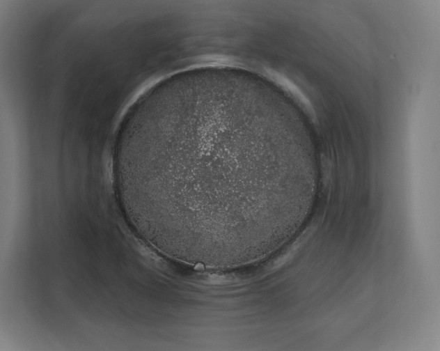 X0000112161318200908211426