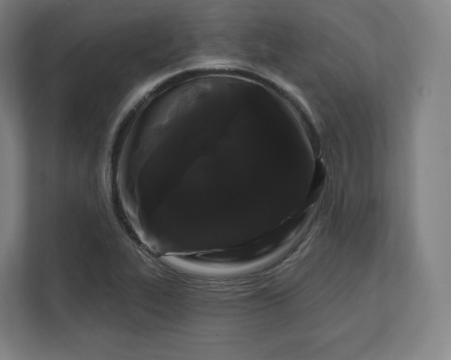 X0000112161319200908211426