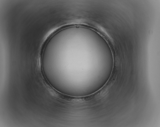 X0000112161320200908211426
