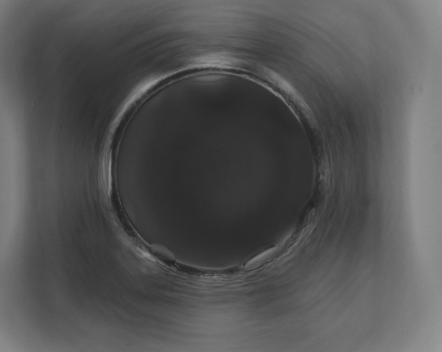 X0000112161323200908211426