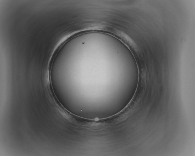 X0000112161324200908211426