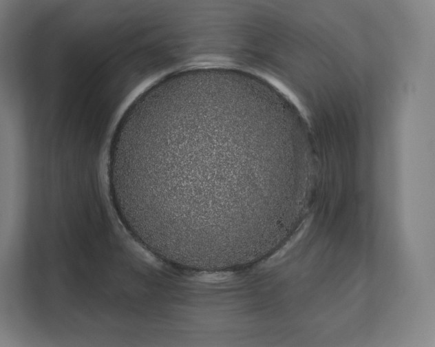 X0000112161325200908211426