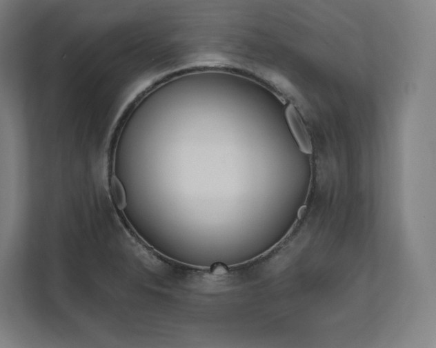X0000112161326200908211426