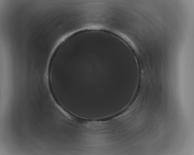X0000112161327200908211426