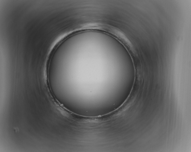 X0000112161328200908211426