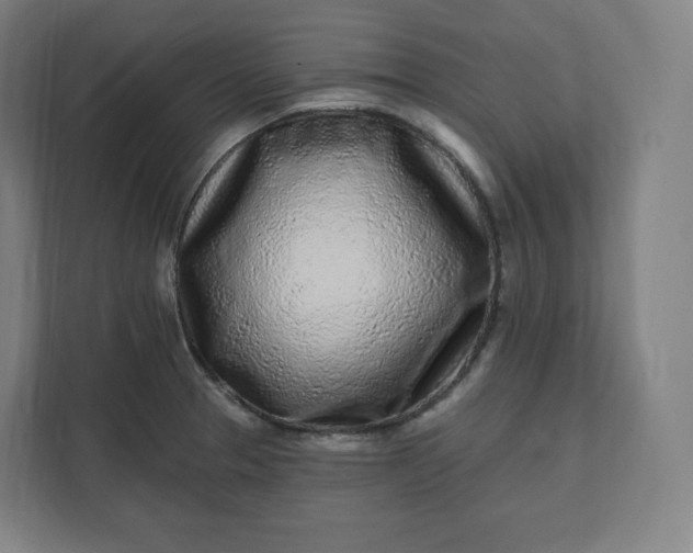 X0000112161329200908211426