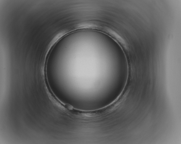 X0000112161330200908211426