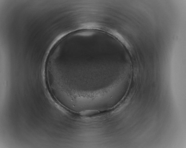 X0000112161331200908211426