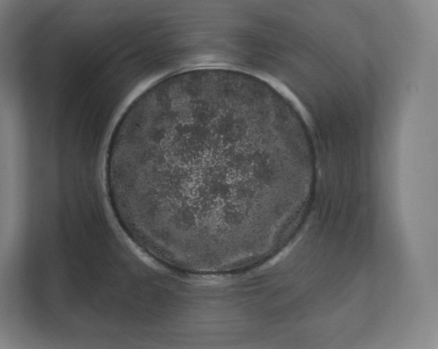 X0000112161333200908211426