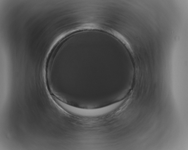 X0000112161334200908211426