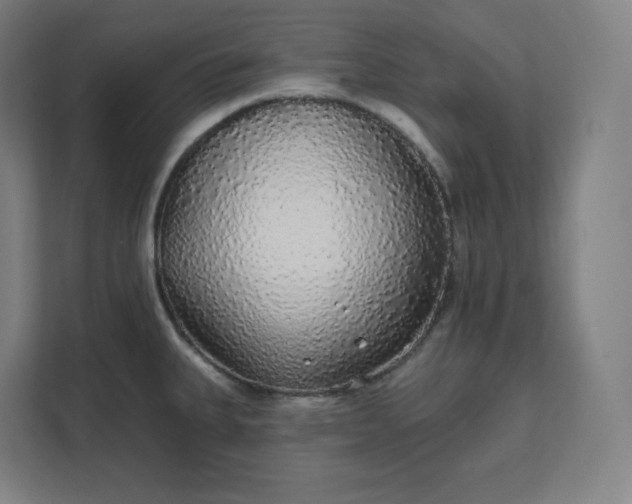 X0000112161335200908211426