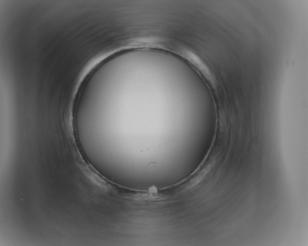 X0000112161336200908211426