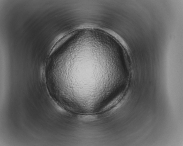 X0000112161337200908211426